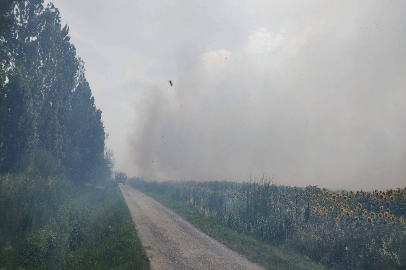 feu en cours Fourques pompier Gard 