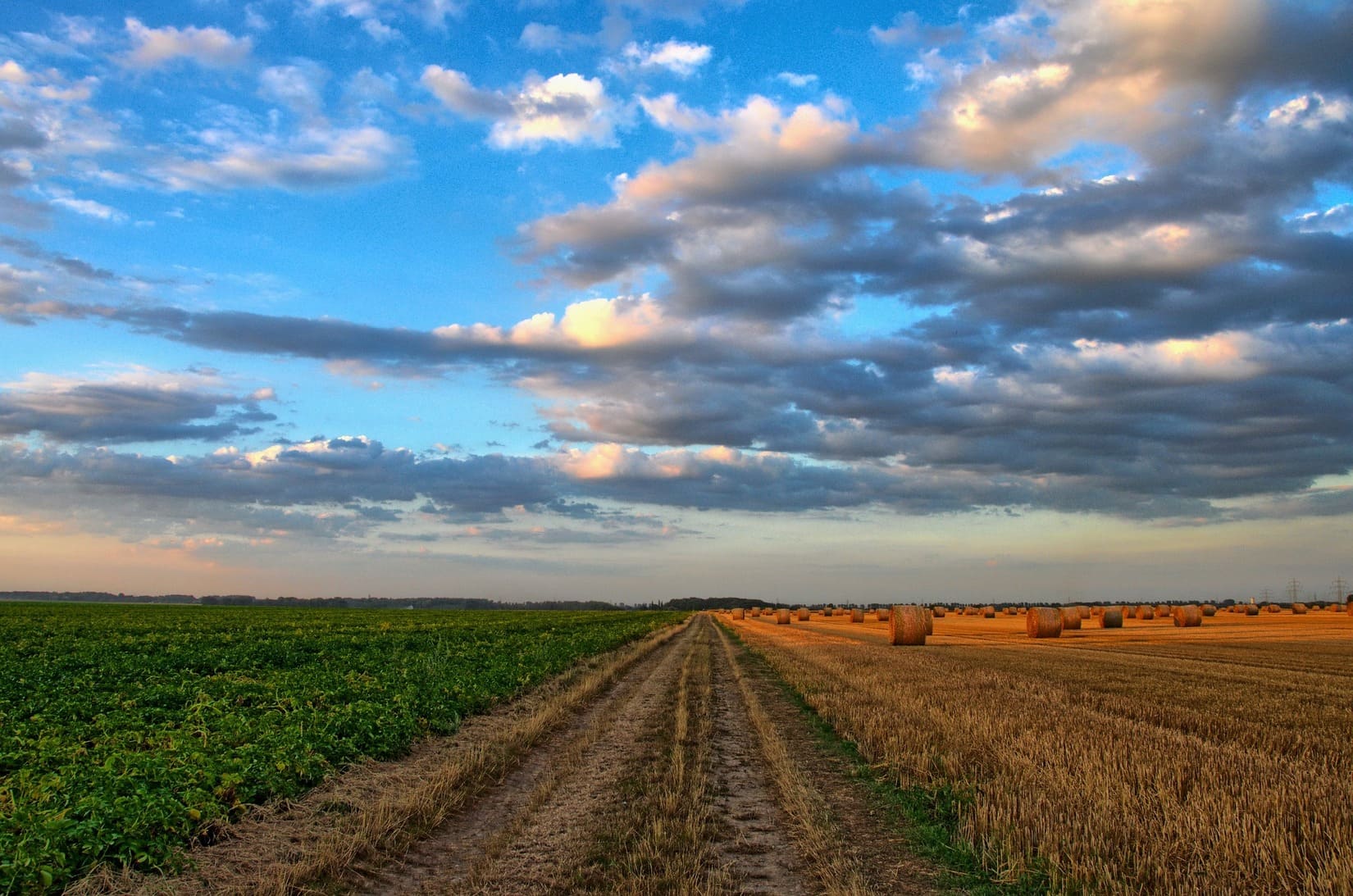 Agriculture_fonds_aides_agriculteurs_Occitanie_le_réveil_du_midi