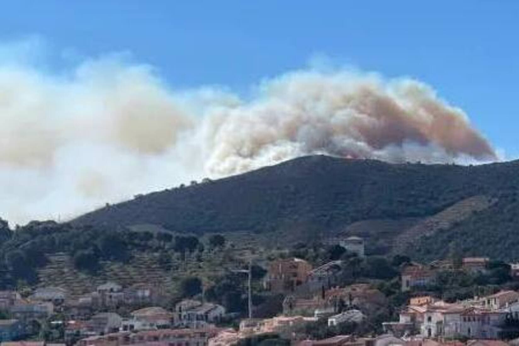 incendie banyuls pyrénées-orientales darmanin