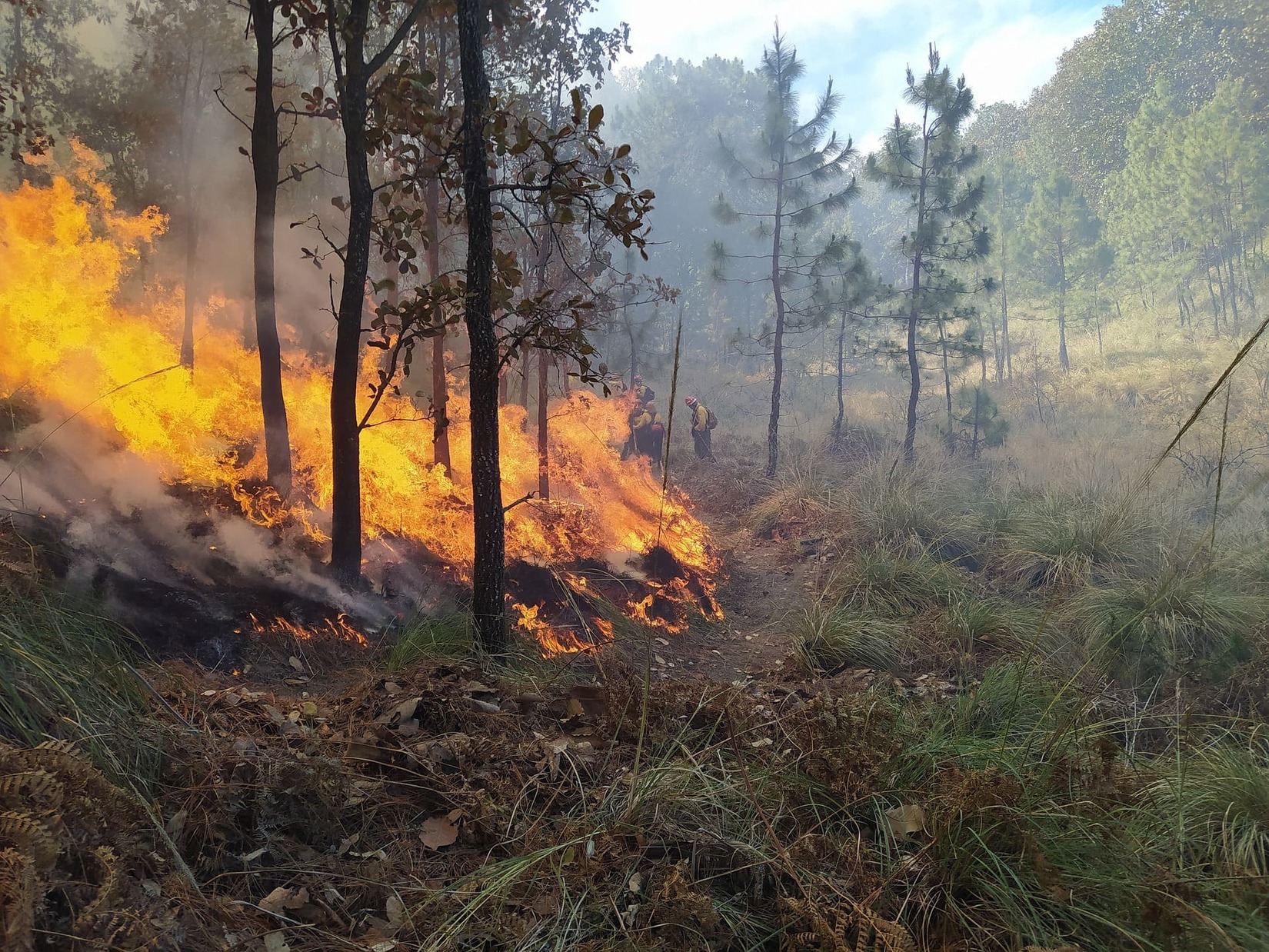 incendie_ecobuage_vallabregues_gard_pompiers