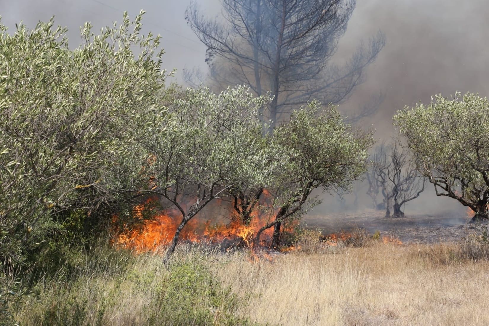 incendie_pompiers_sapeurs_pompiers_gard_feu_gajan