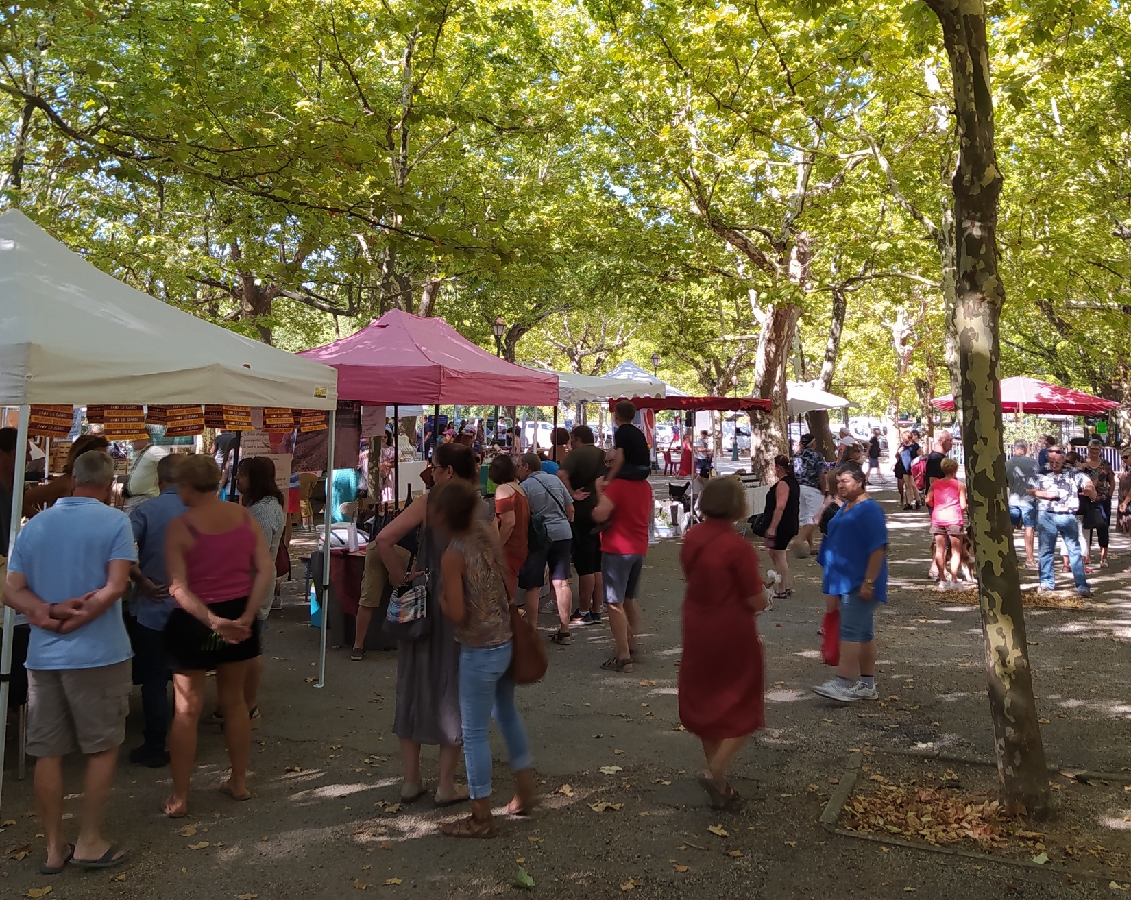 foireauxplantes_allegres-les-fumades_journéedesplantes_plantesmedicinales_reveildumidi