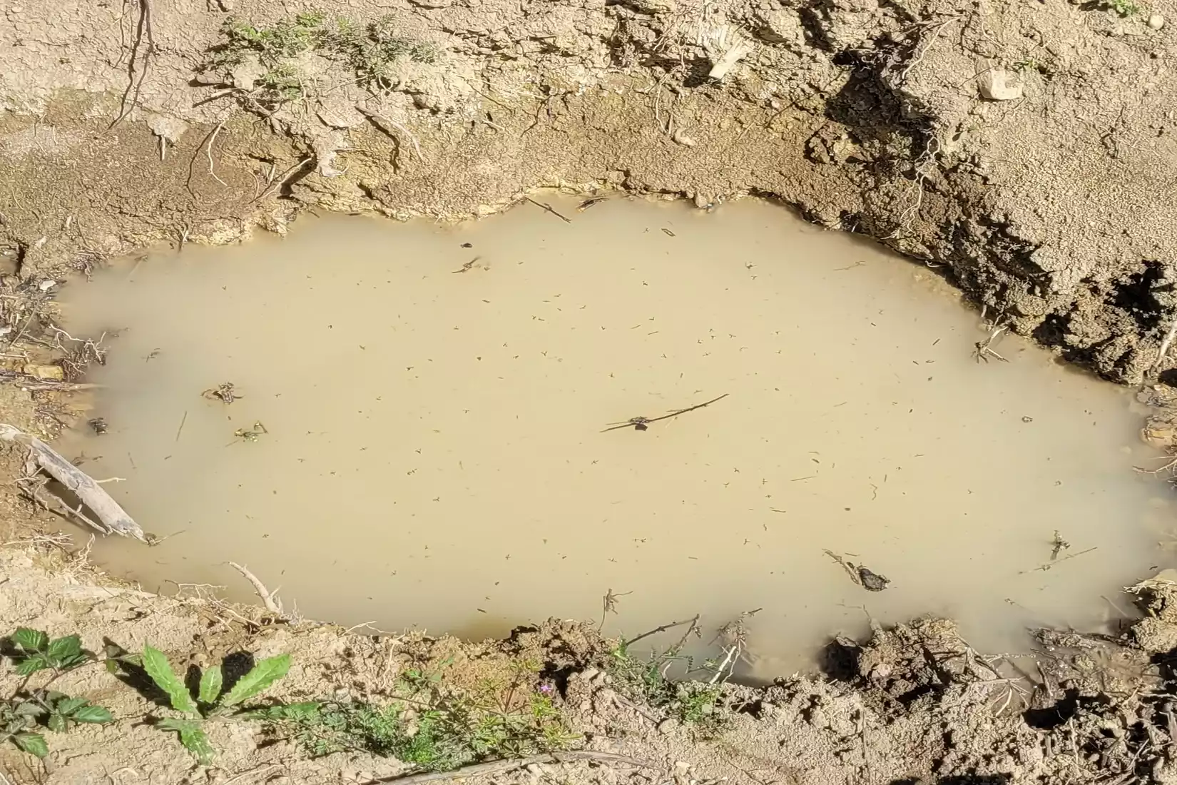 mégabassine réserve d'eau rochegude gard agriculture