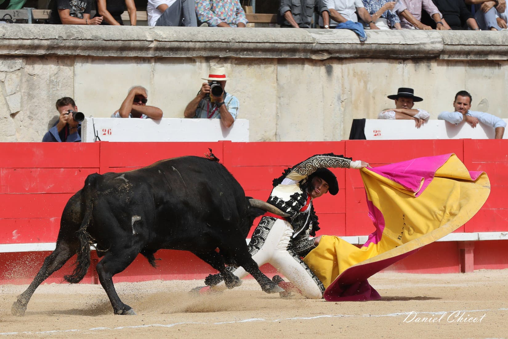 corrida novillade toros arènes de Nîmes