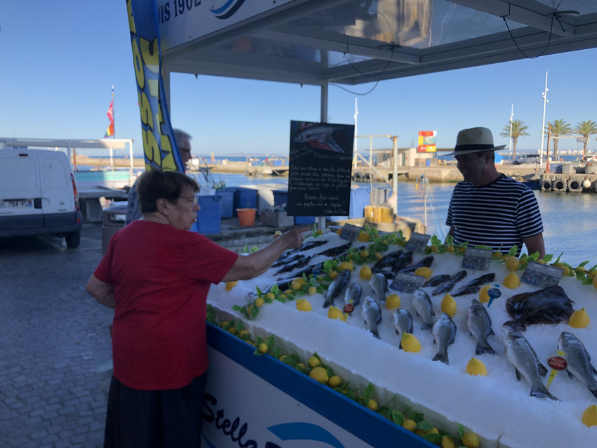 pecheurs legrauduroi touriste sol matin bateau lereveildumidi8