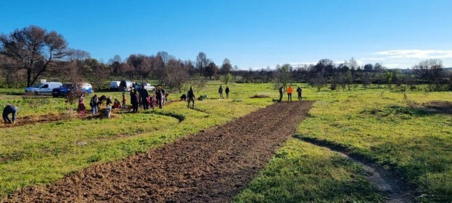 replantation_brl_groupe_association_école_enfants_chênes_le_reveil_du_midi