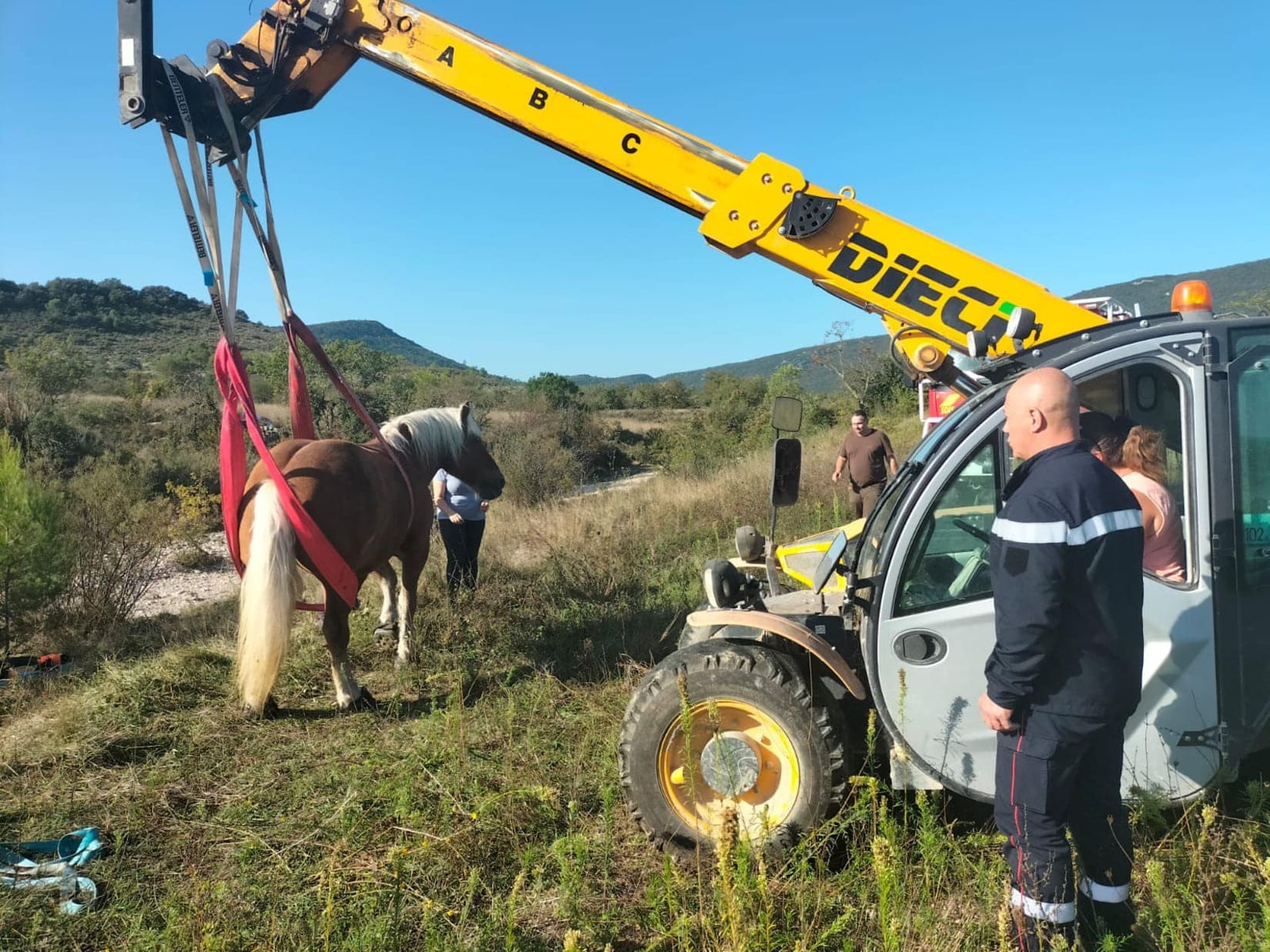 pompiers cheval intervention Pompignan