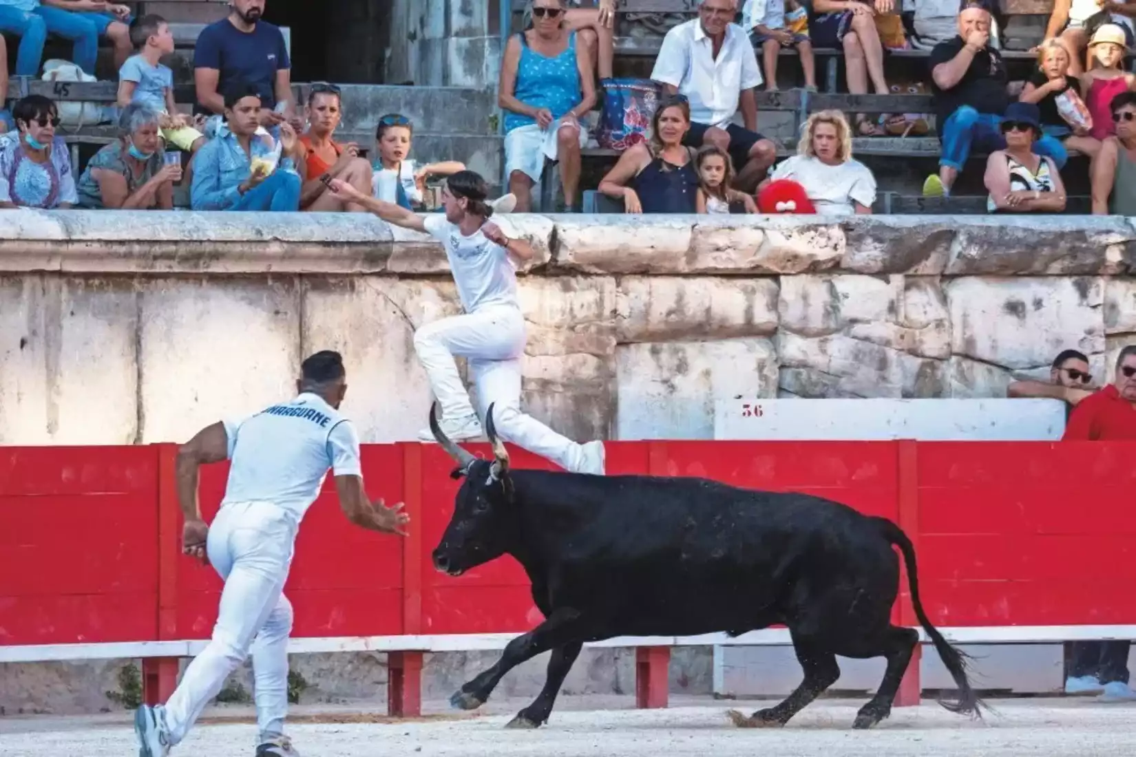 programme feria de pentecôte nîmes gard course camarguaise