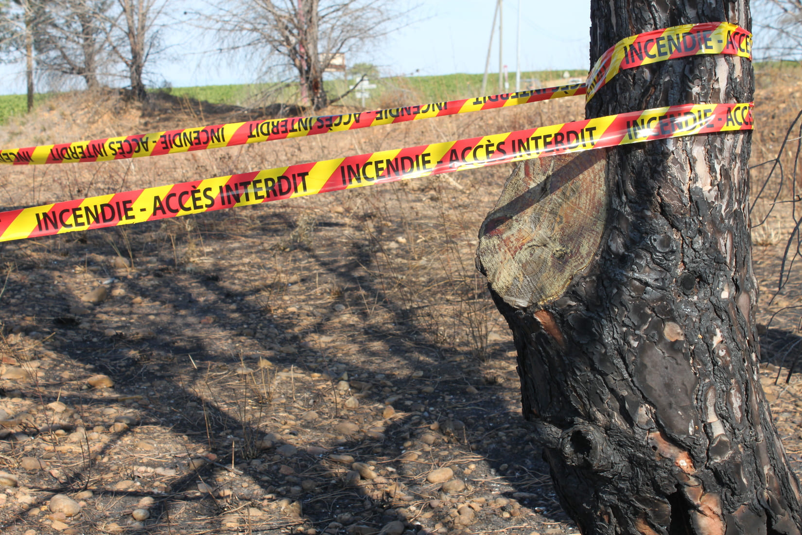 rcci_incendies_gard_incendiecriminel_sdis30_onf_generac_reveildumidi