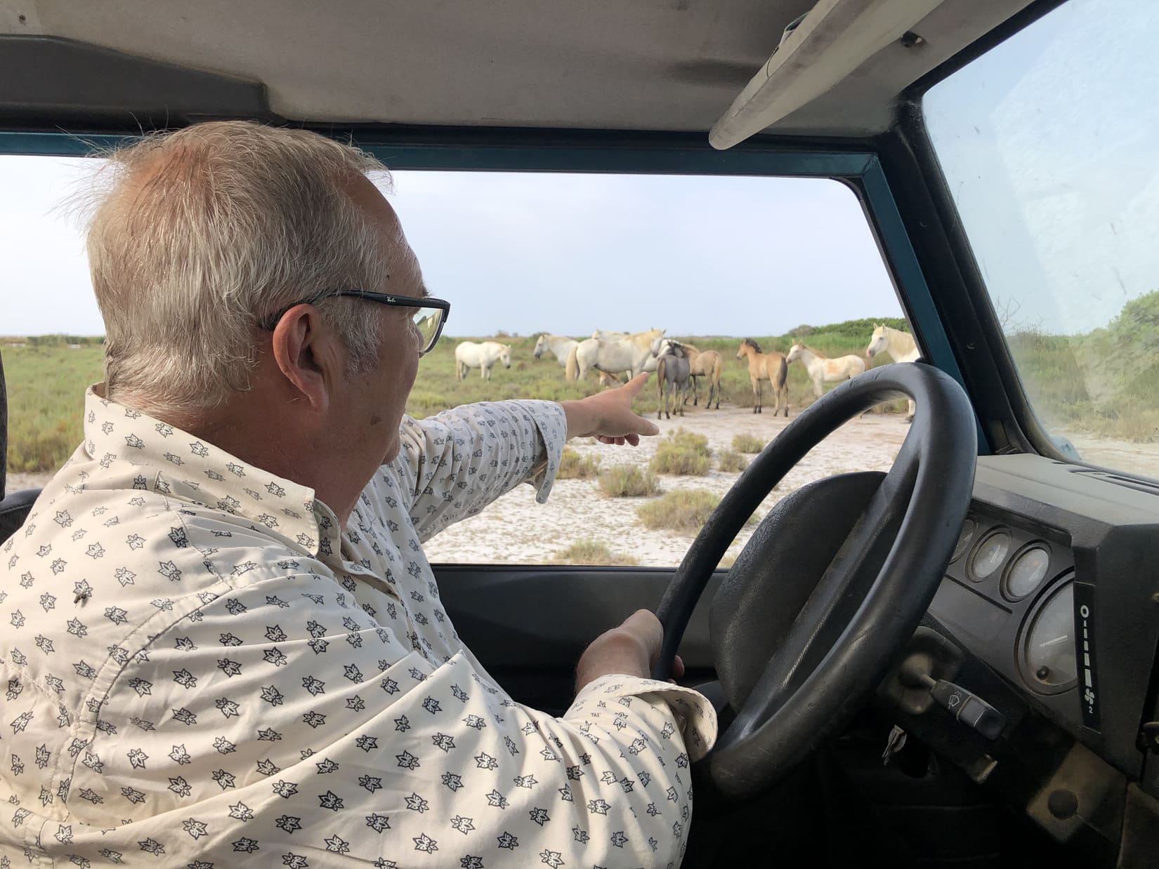 safari camargue chevaux 44 lereveildumidi6