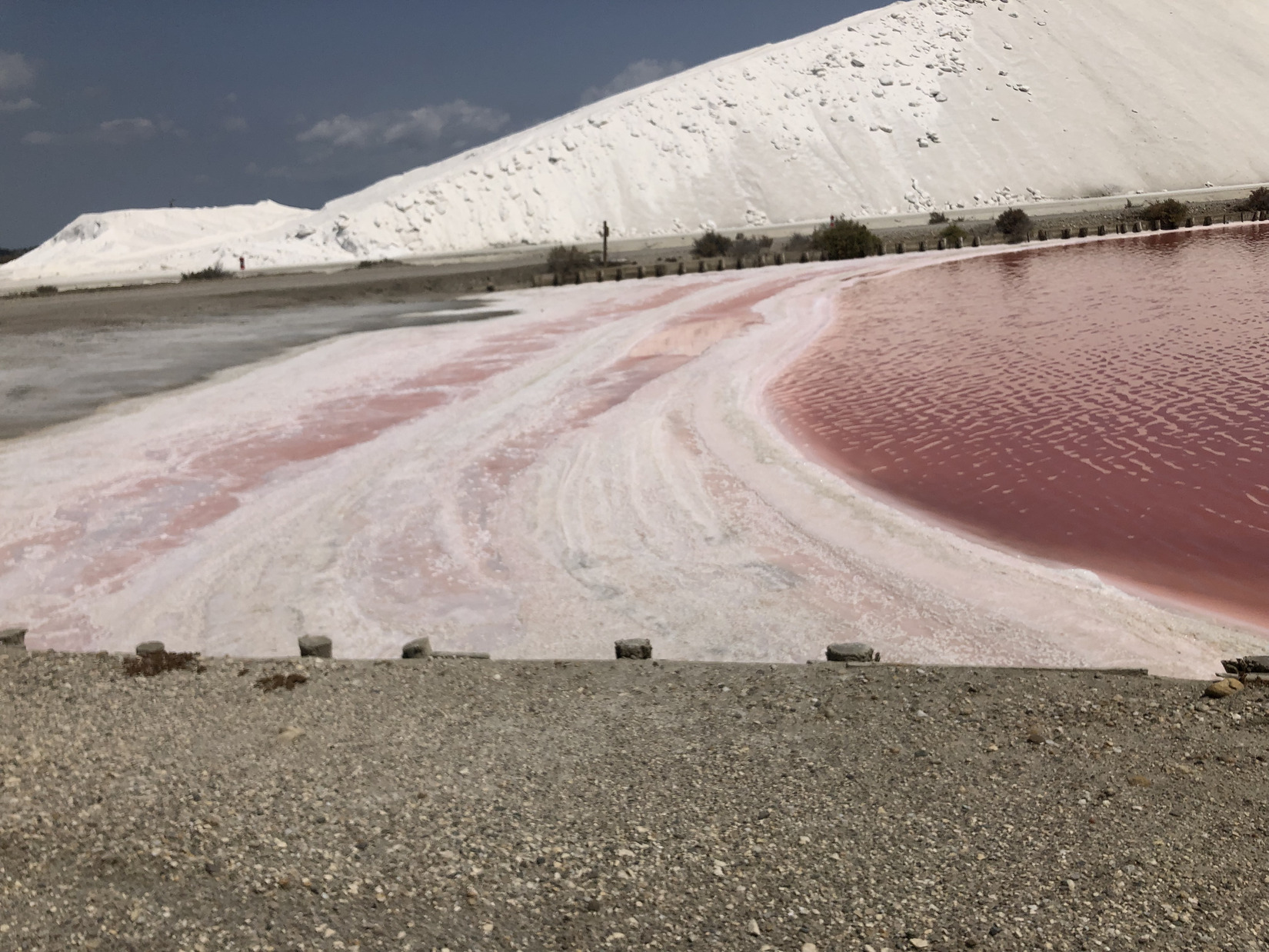 salins aigues mortes sel midi lereveildumidi6