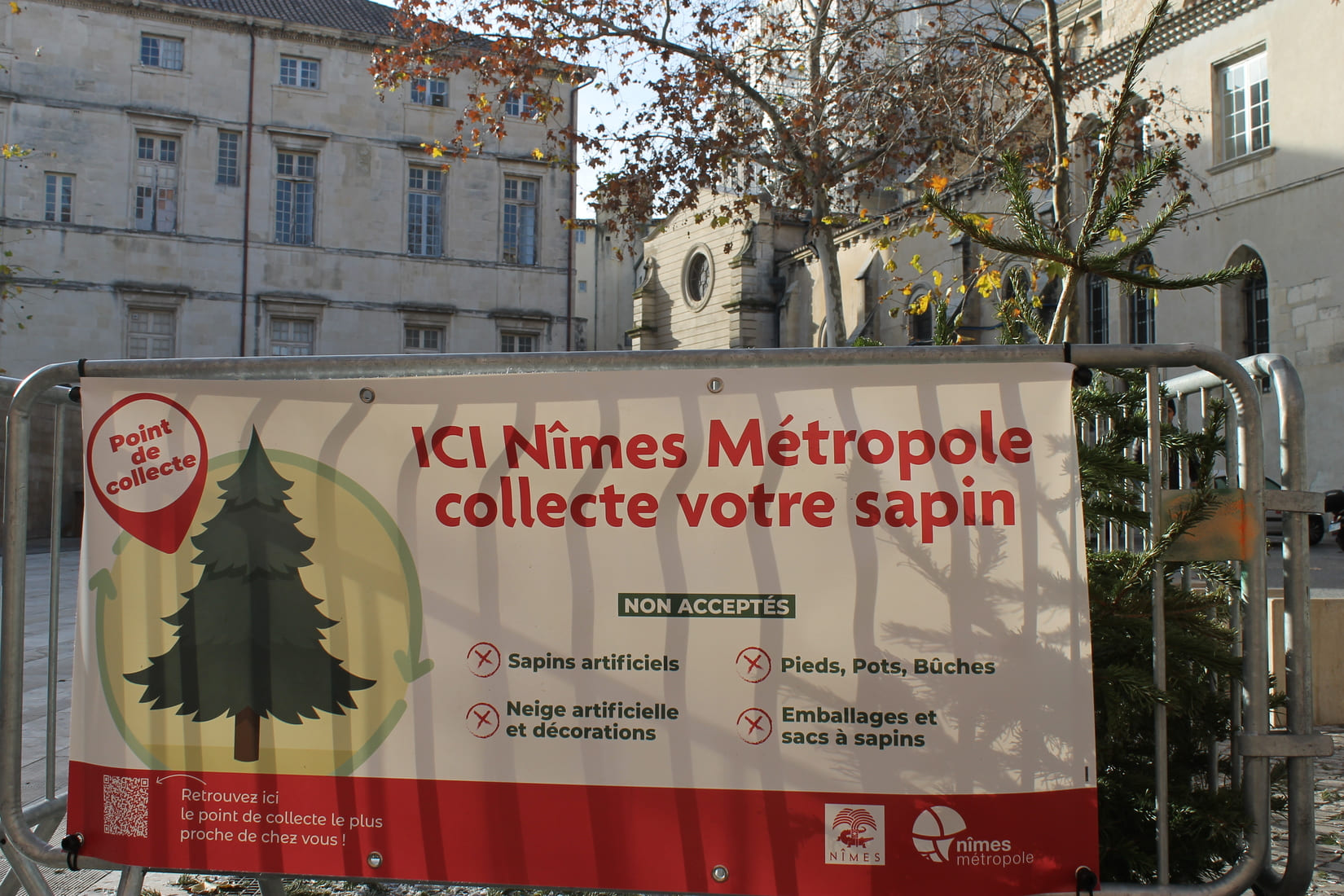 sapin écologie environnement Nîmes Métropole