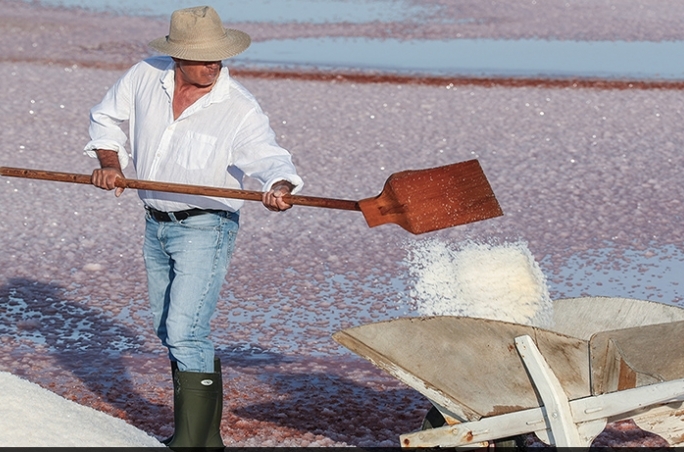 seldecamargue_saunierdecamargue_sel_recolte_culturedusel_pdg_françoishubert_reveildumidi_saliculture_sauniers_paludier_agriculture_reveildumidi