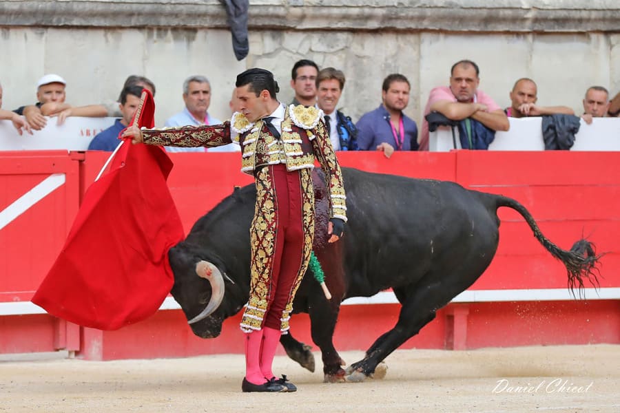 talavente_arènes_de_Nîmes.jpg