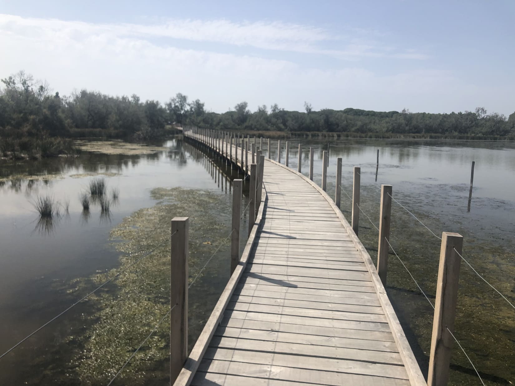 tour carbonniere aigues mortes st laurent lereveildumidi3