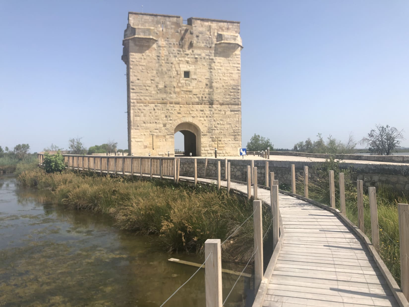 tour carbonniere aigues mortes st laurent lereveildumidi6