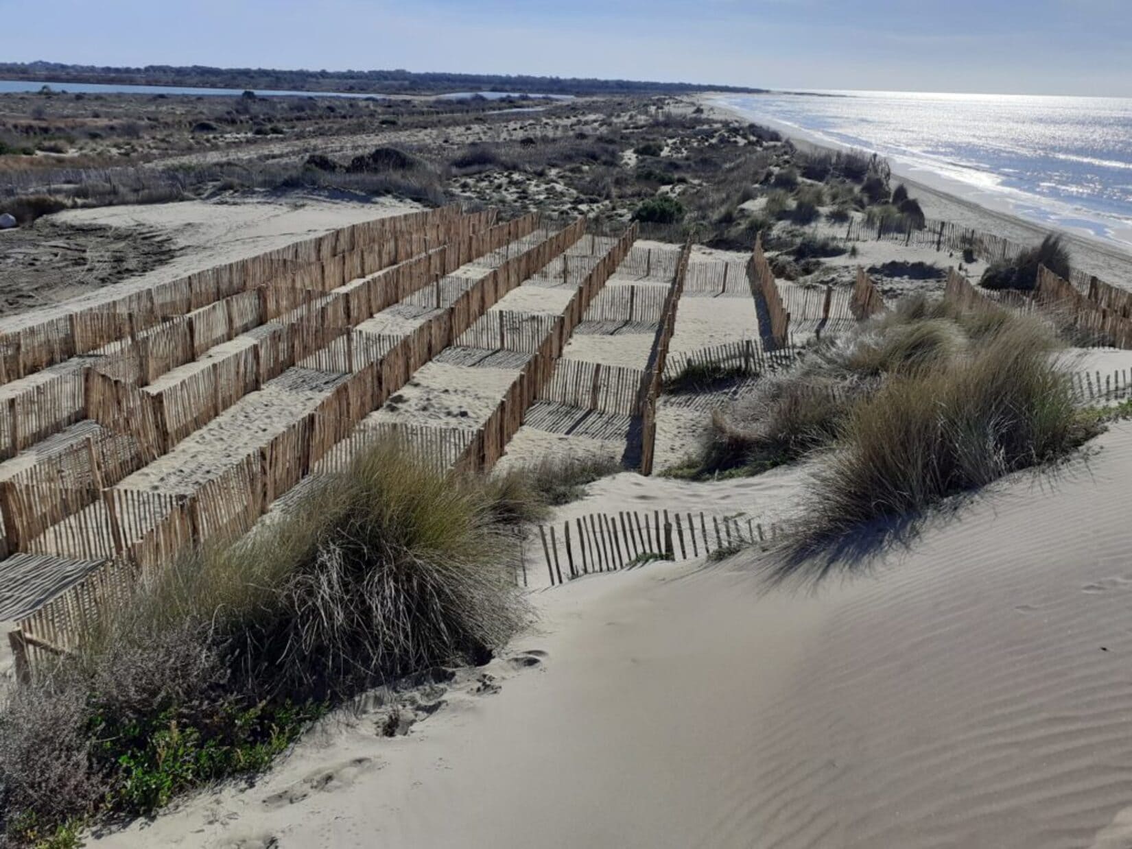 Travaux_sur_la_dune_du_Grau_du_Roi_Gard_lereveildumidi