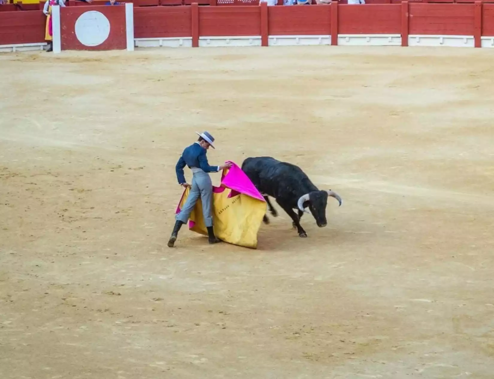 alliance anti-corrida communique post publicitaire