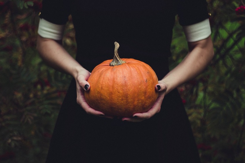 citrouille halloween gard maraîchers